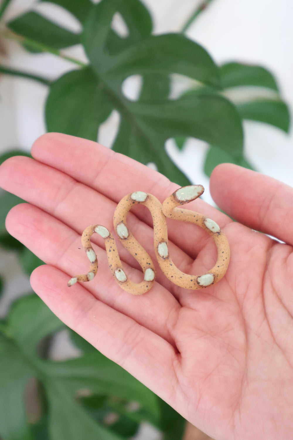 Carter + Rose, Baby Ceramic Snakes | Heirloom Boulevard