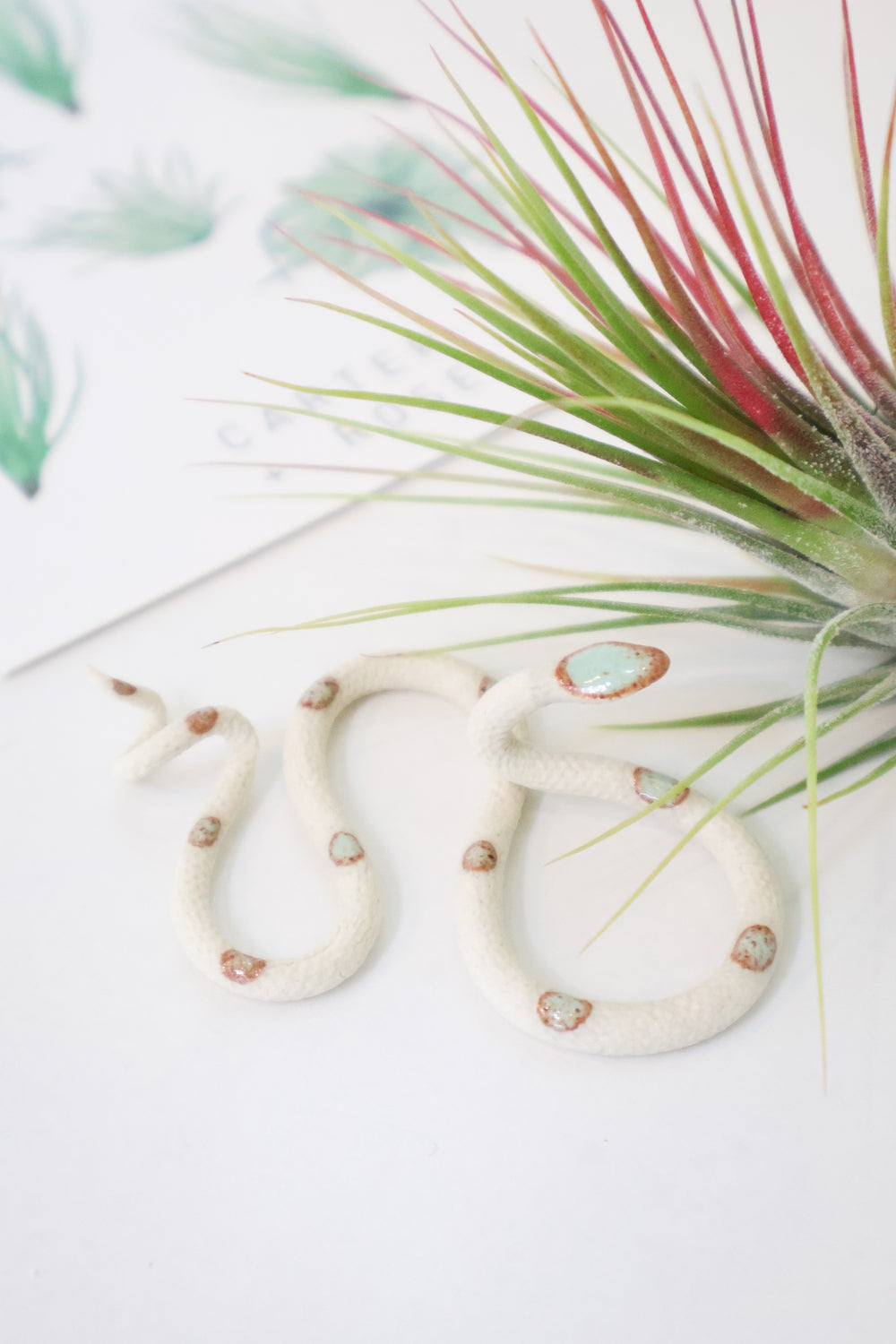 Carter + Rose, Baby Ceramic Snakes Sylvia | Heirloom Boulevard