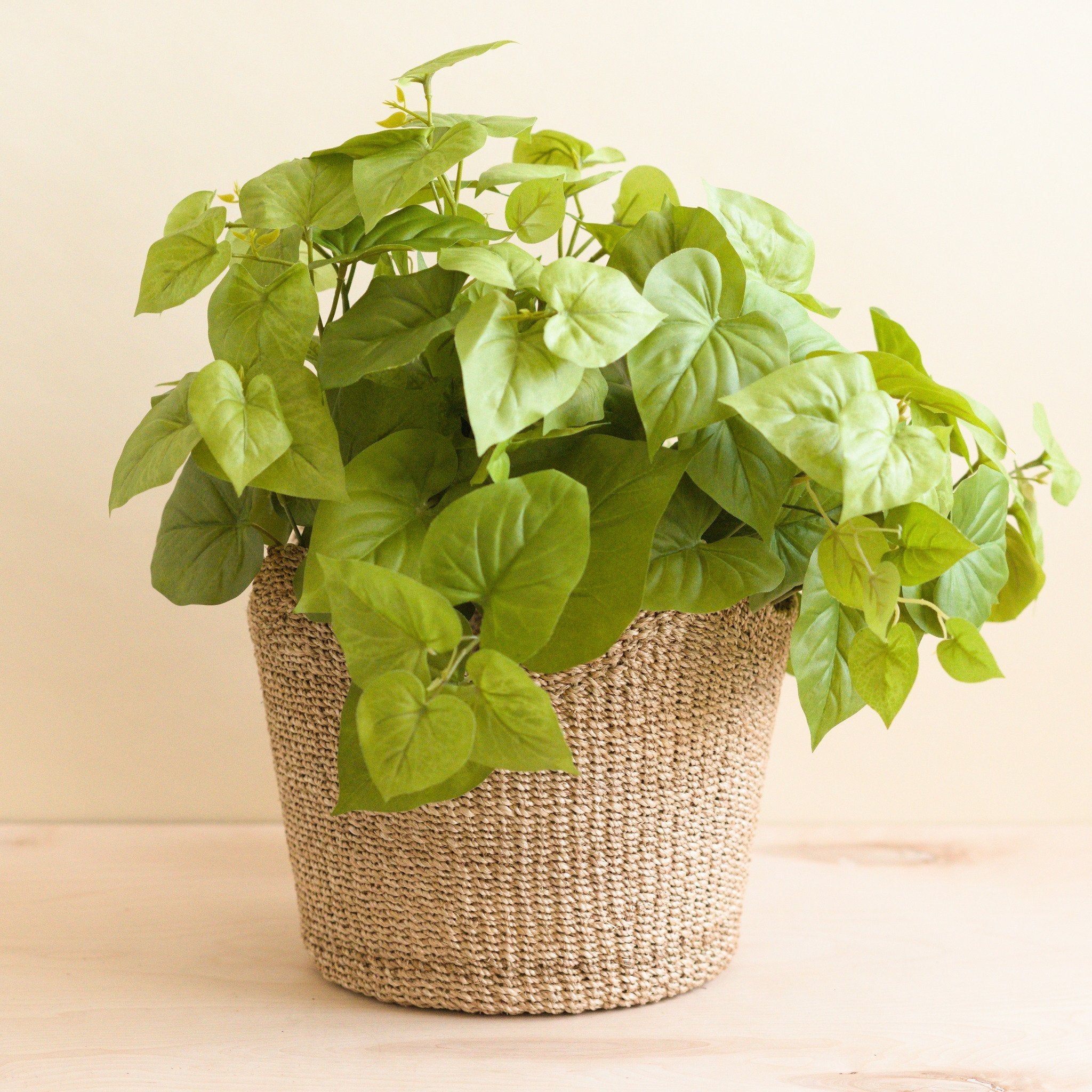 LIKHÂ Natural Scallop Basket - Planter Basket | LIKHÂ