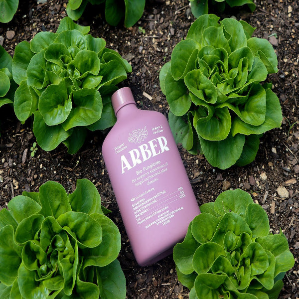 Arber Organic Bio Fungicide | Heirloom Boulevard