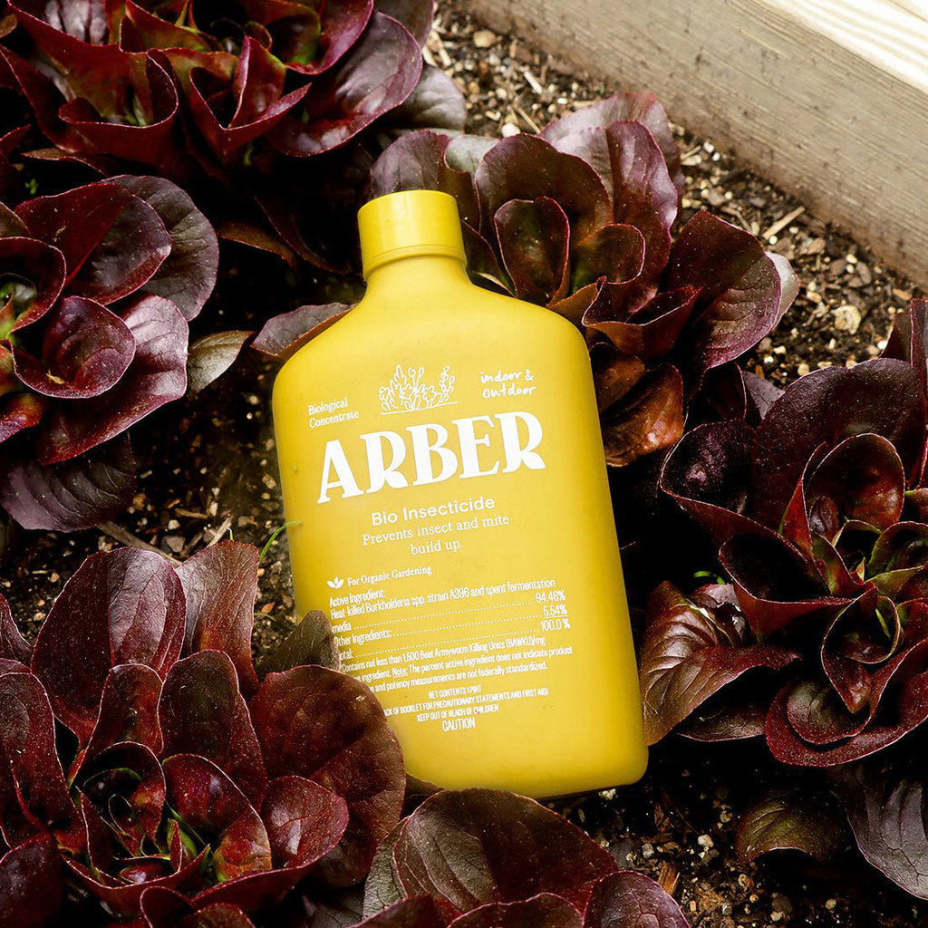 Arber Organic Bio Insecticide | Heirloom Boulevard