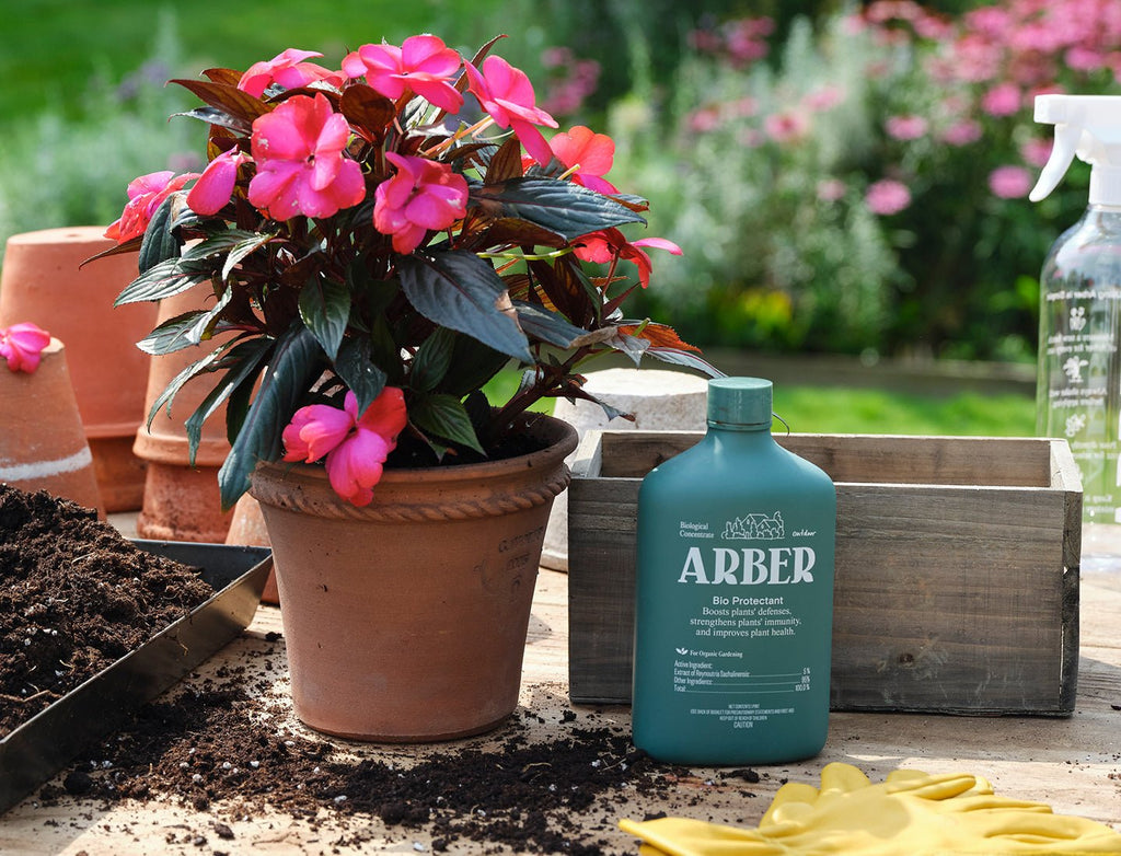 Arber Organic Bio Protectant | Heirloom Boulevard