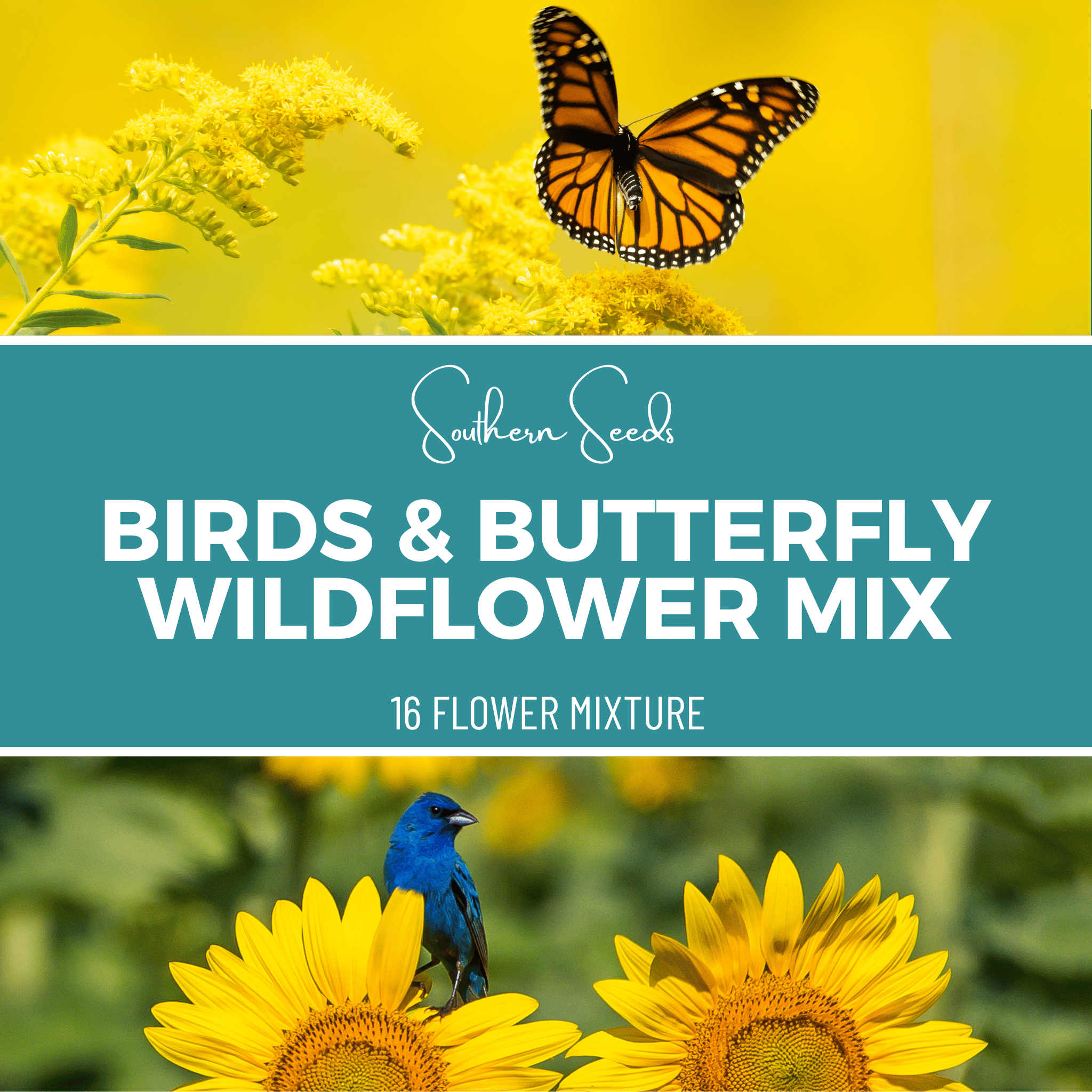 Southern Seeds Birds & Butterfly Wildflower Seed Mix (14 Varieties) – 1,000 Seeds | Heirloom Boulevard