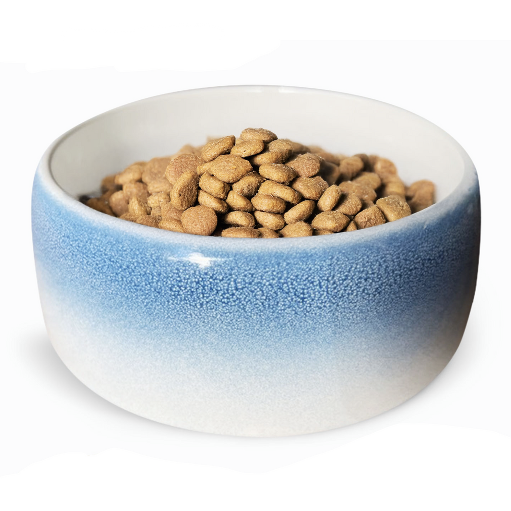 Byer of Maine Byer Pet Bowl - Best Friend Blue