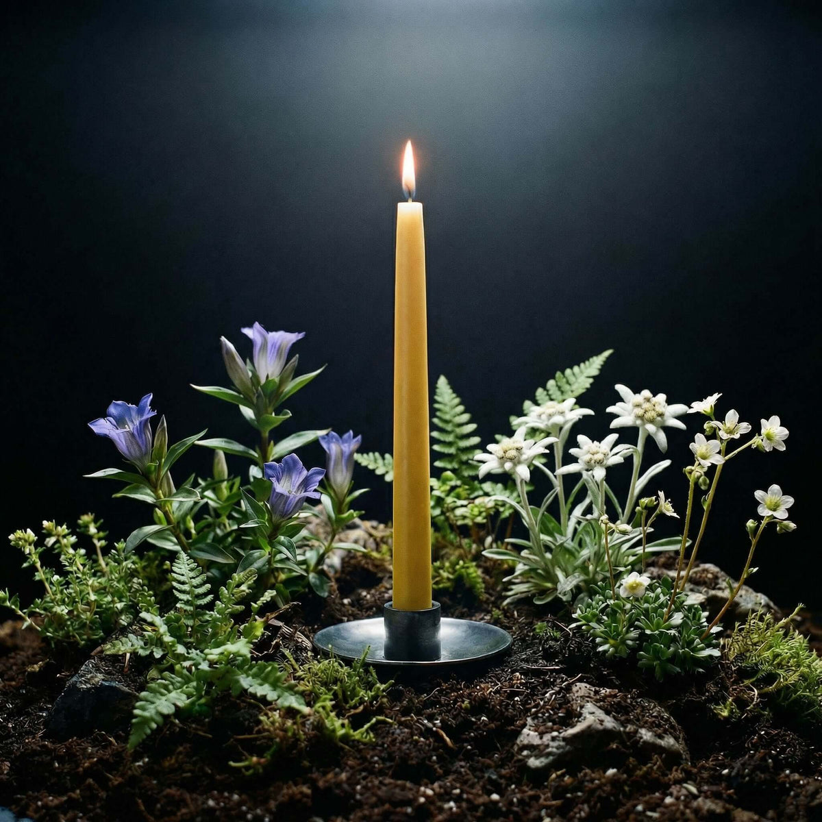 Hand-Dipped Beeswax Taper Candles - Bulk 4-Pair Bundle | Heirloom Boulevard
