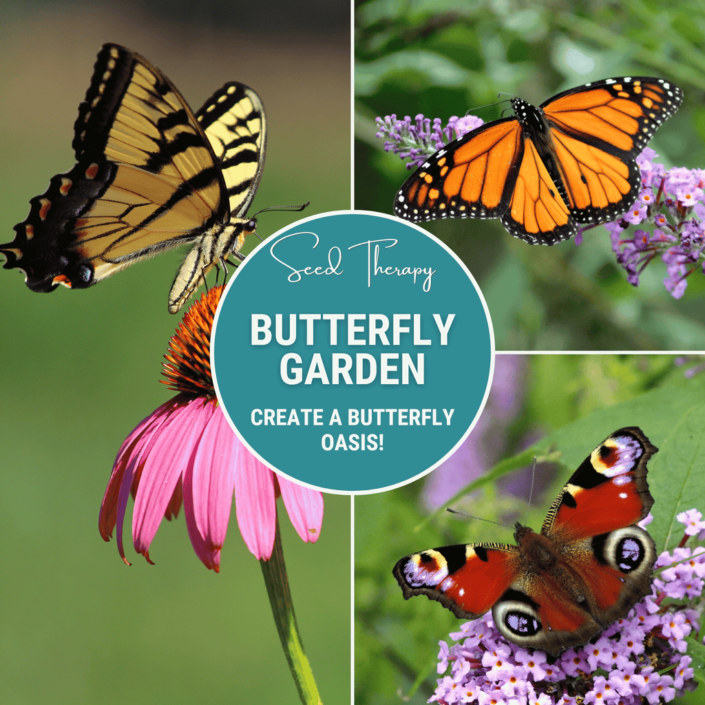 Southern Seeds Butterfly Garden Seed Collection – 10 Varieties | Heirloom Boulevard