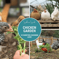 Southern Seeds Chicken Treats Seed Collection – 10 Varieties | Heirloom Boulevard