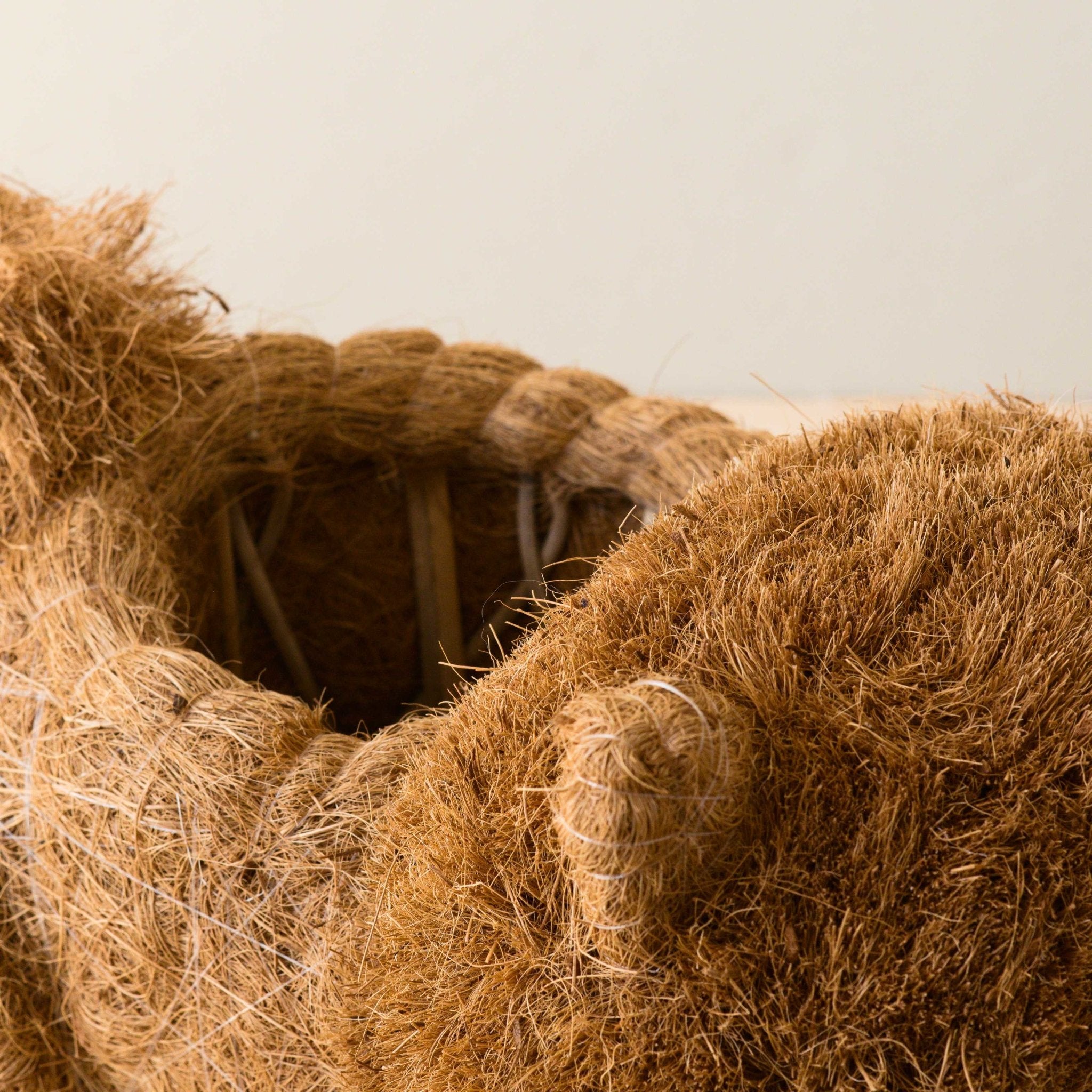 Chow Chow Planter - Dog Plant Pot | LIKHÂ LIKHÂ | Heirloom Boulevard