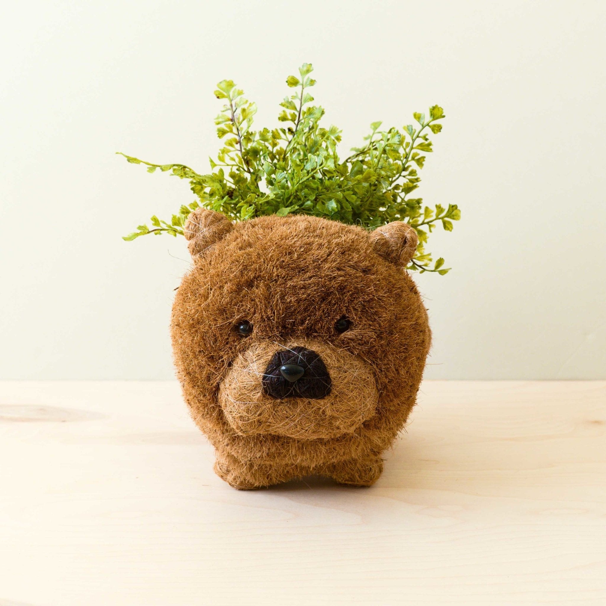 Chow Chow Planter - Dog Plant Pot | LIKHÂ LIKHÂ | Heirloom Boulevard