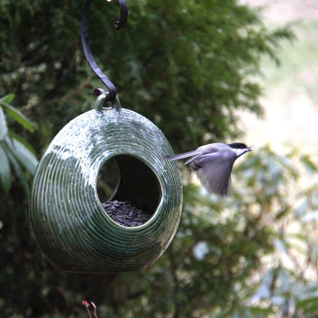 Byer of Maine Circles Fly-Through Feeder