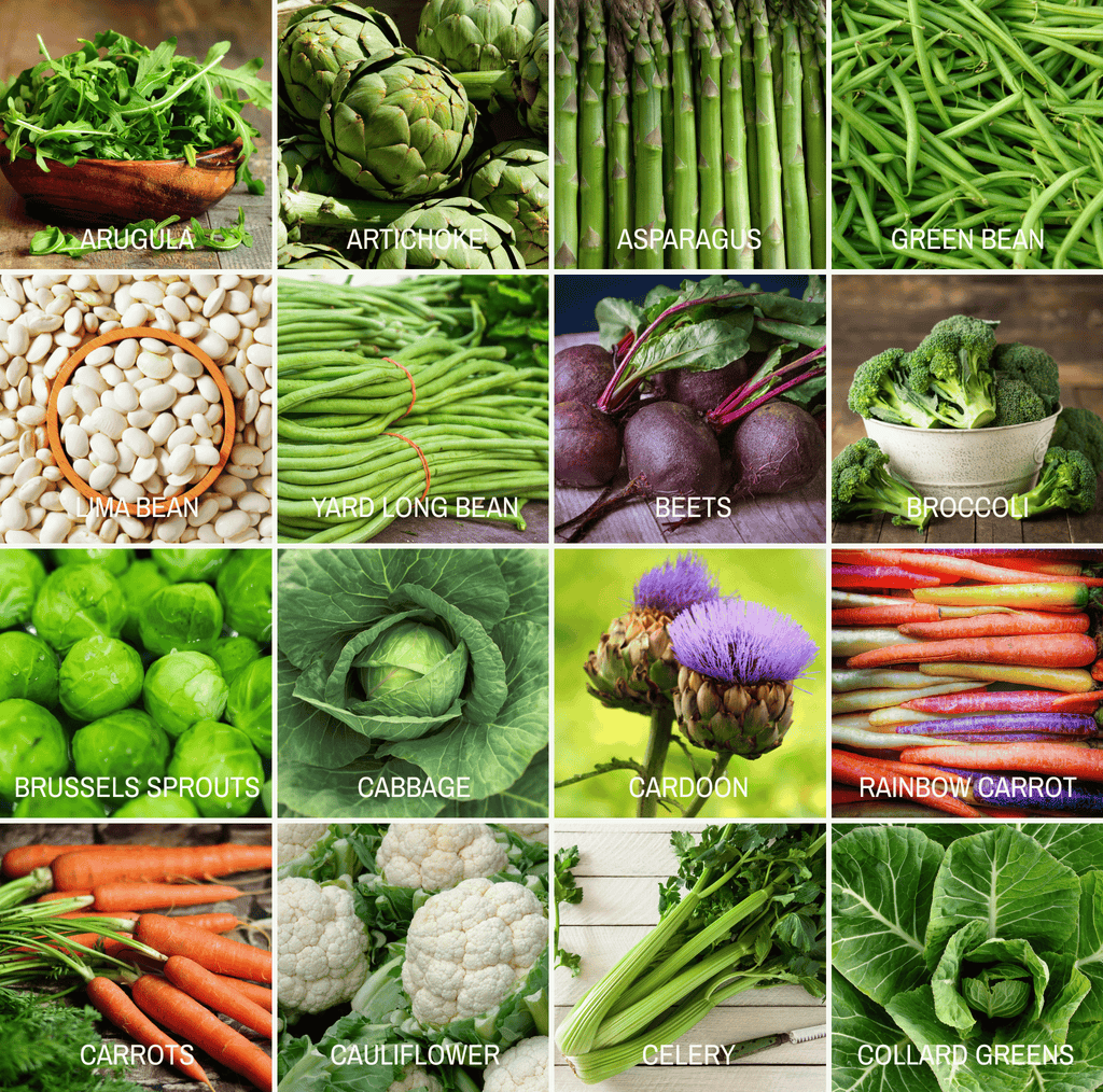 Southern Seeds Community Garden Survival Seed Vault – 120 Seed Varieties | Heirloom Boulevard