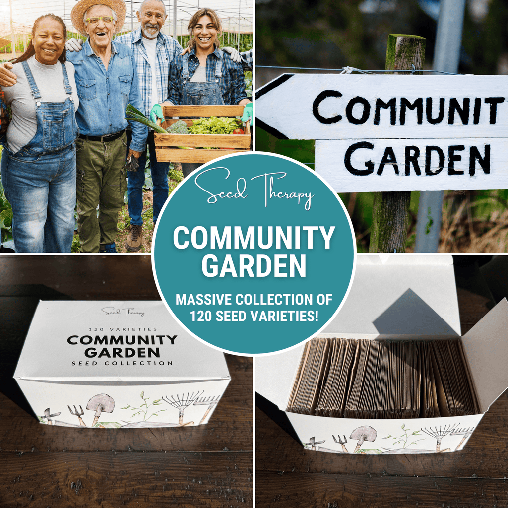 Southern Seeds Community Garden Survival Seed Vault – 120 Seed Varieties | Heirloom Boulevard