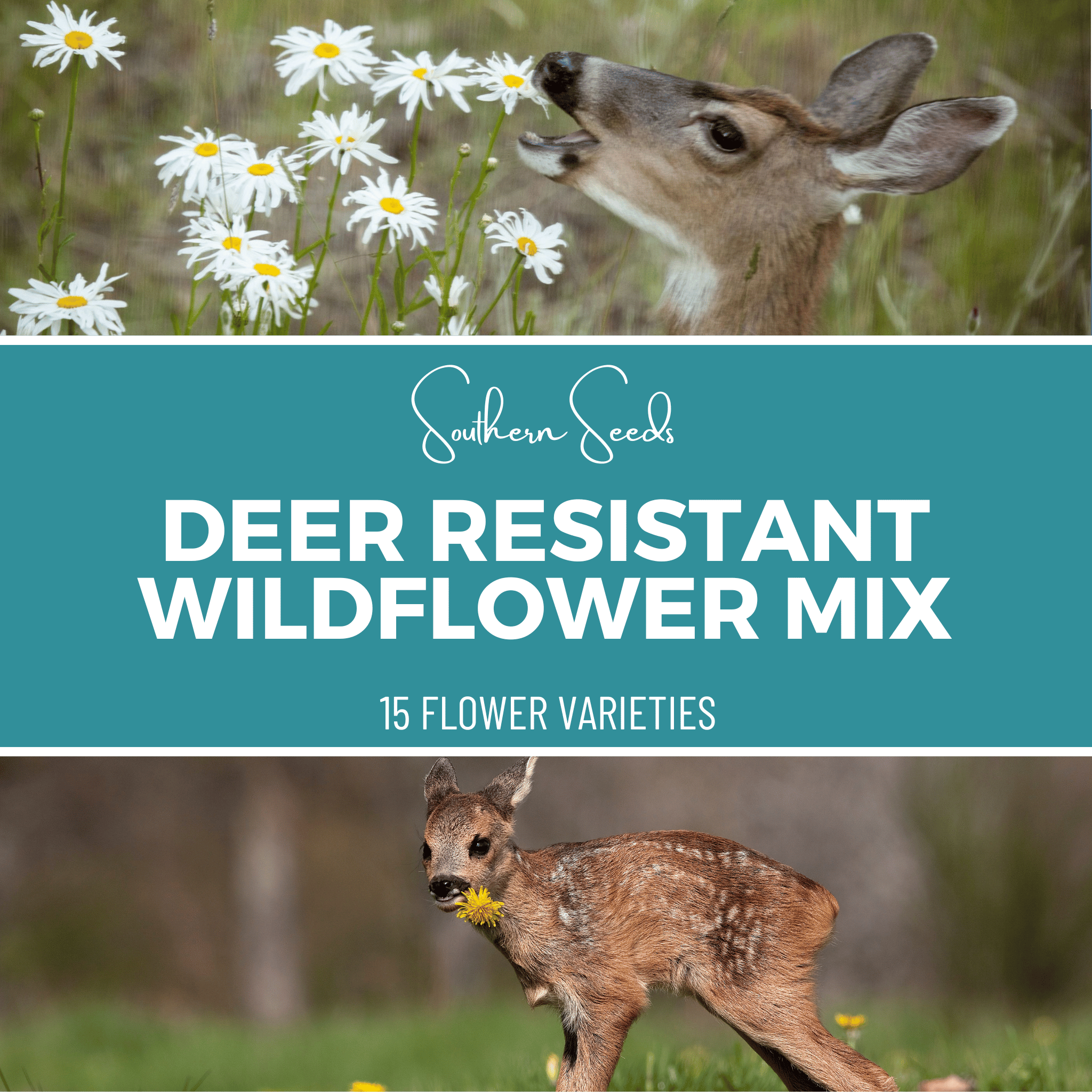 Southern Seeds Deer Resistant Wildflower Seed Mix (15 Varieties) – 1,000 Seeds | Heirloom Boulevard