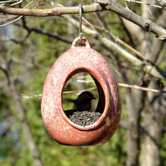 Byer of Maine Egg Fly-Through Feeder