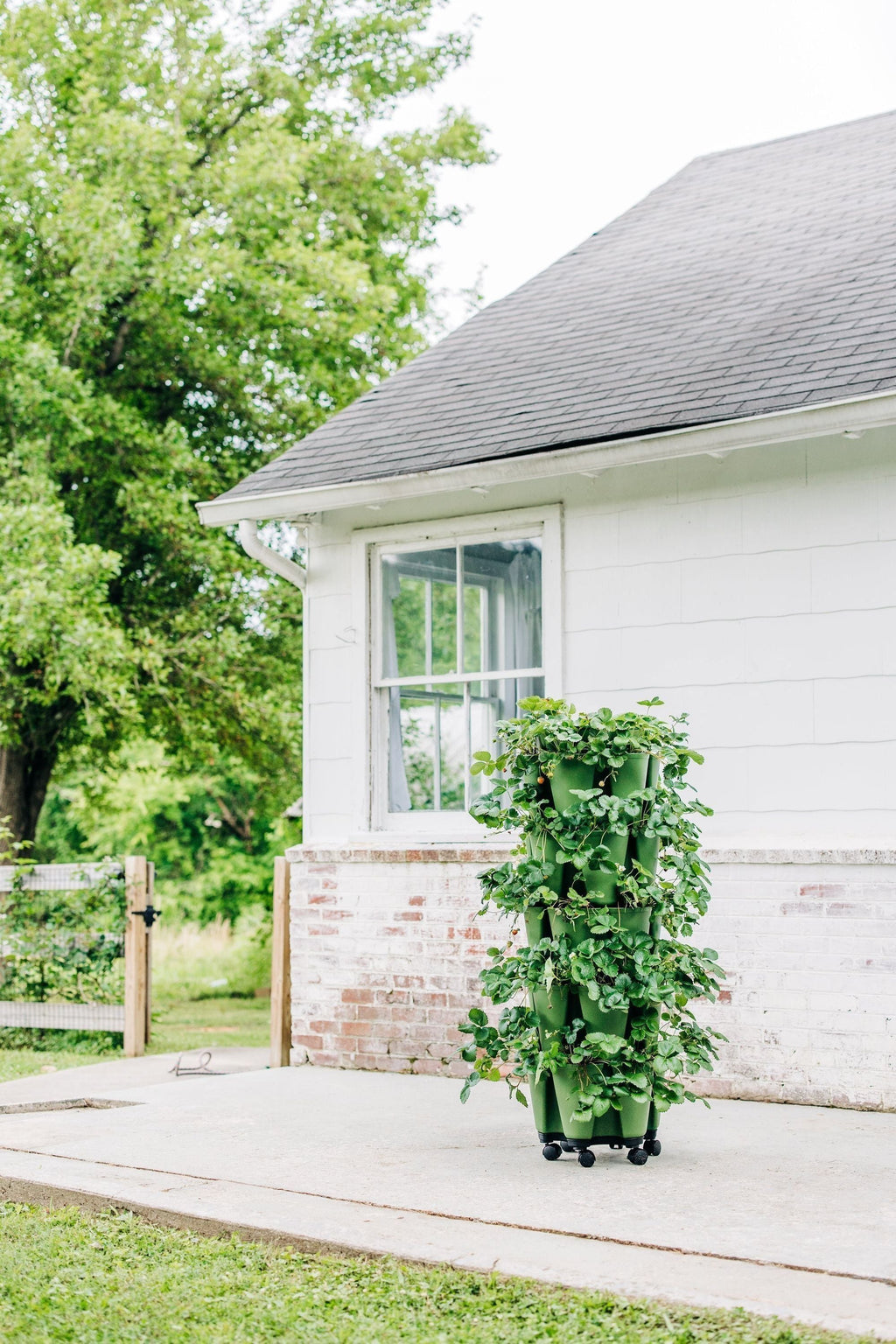 GreenStalk Garden Mover | Heirloom Boulevard