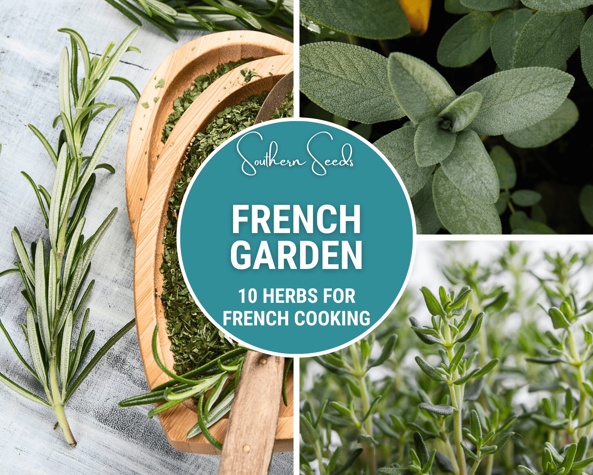 Southern Seeds French Garden Seed Collection – 10 Varieties | Heirloom Boulevard