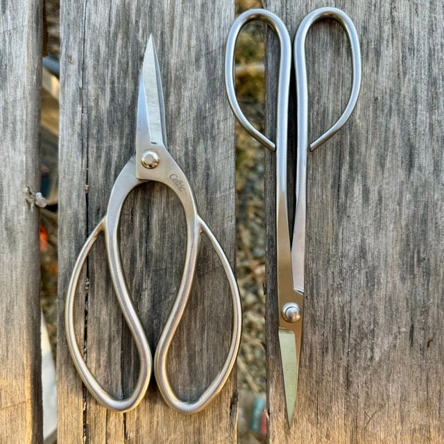 Garden Gift Box - Stainless Garden Scissor Set | Heirloom Boulevard