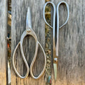 Garden Gift Box - Stainless Garden Scissor Set | Heirloom Boulevard