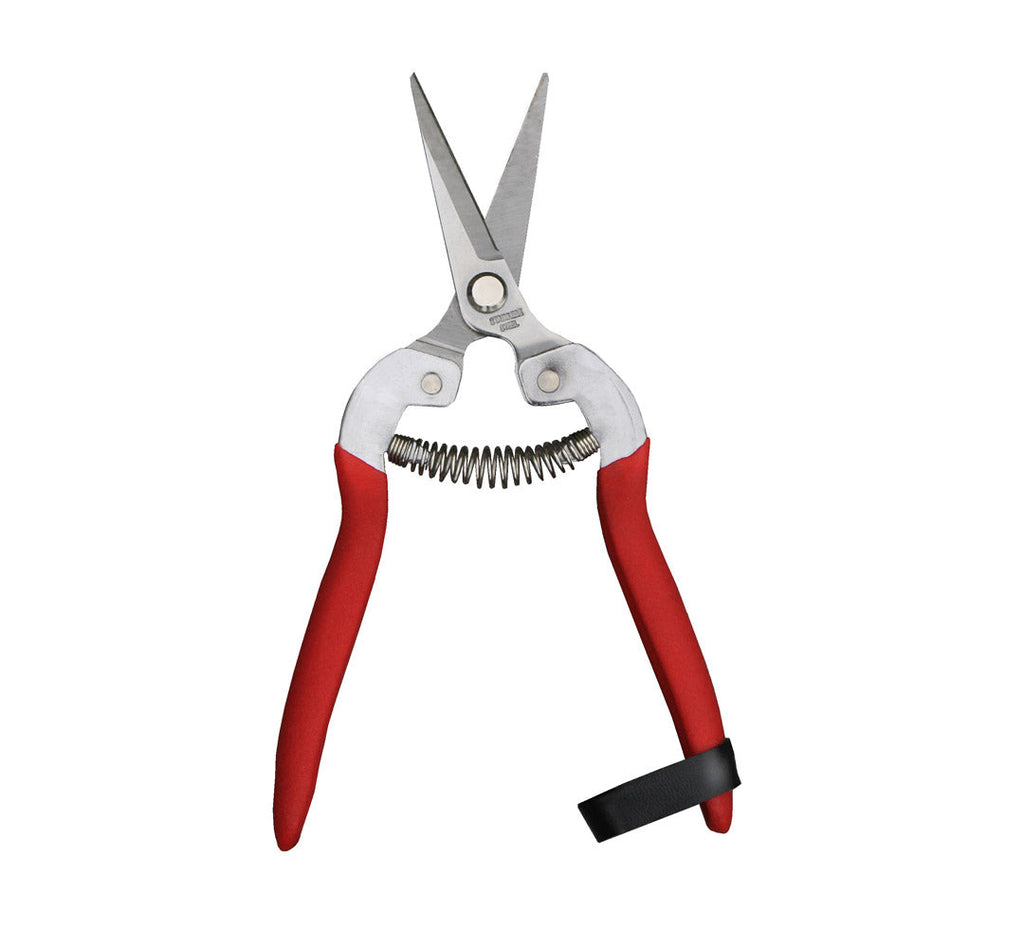 Womanswork Compact Pruning Shears, Garden of Paradise | Heirloom Boulevard