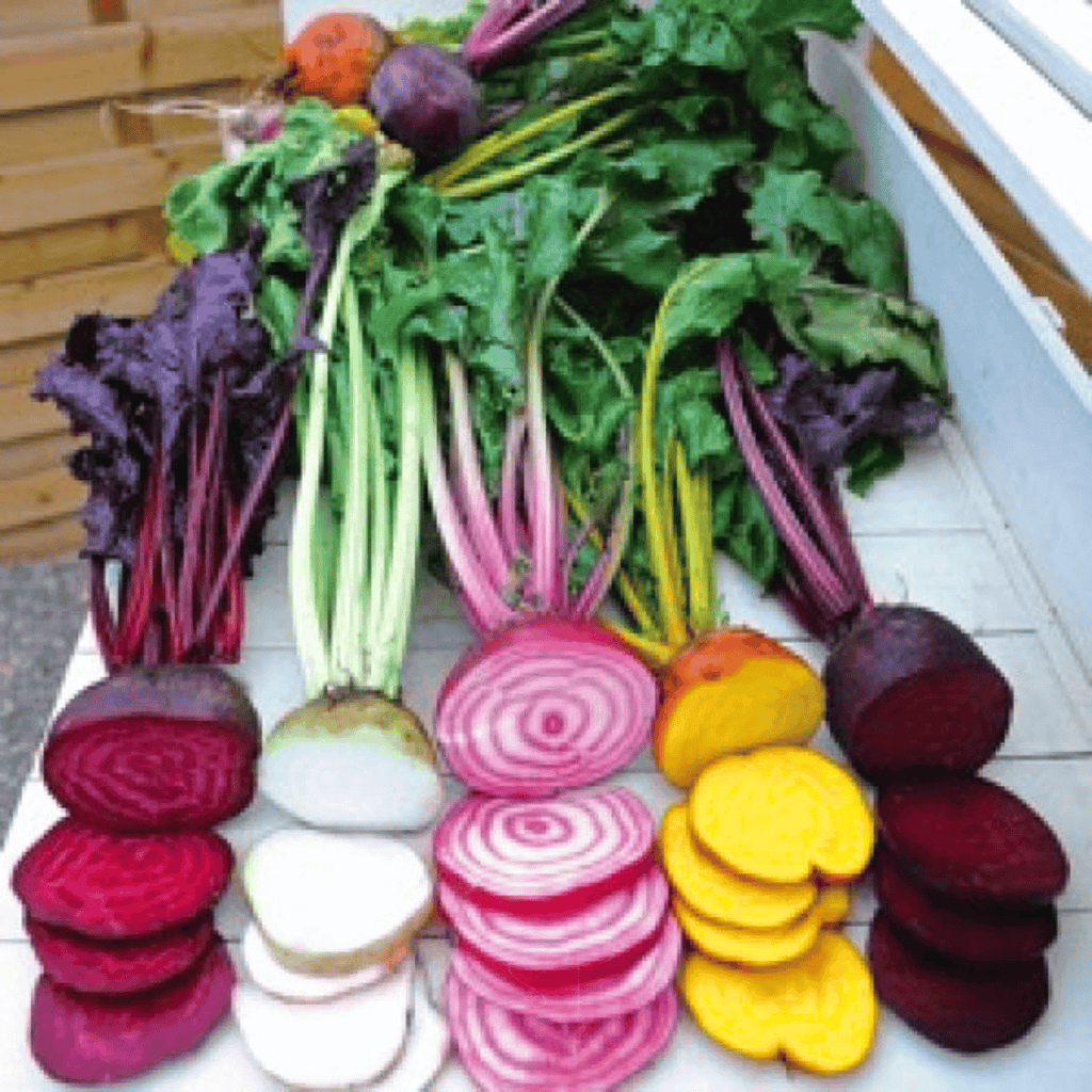 Southern Seeds Gourmet Blend Beet – 50 Seeds | Heirloom Boulevard