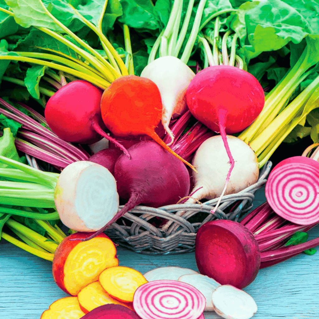 Southern Seeds Gourmet Blend Beet – 50 Seeds | Heirloom Boulevard