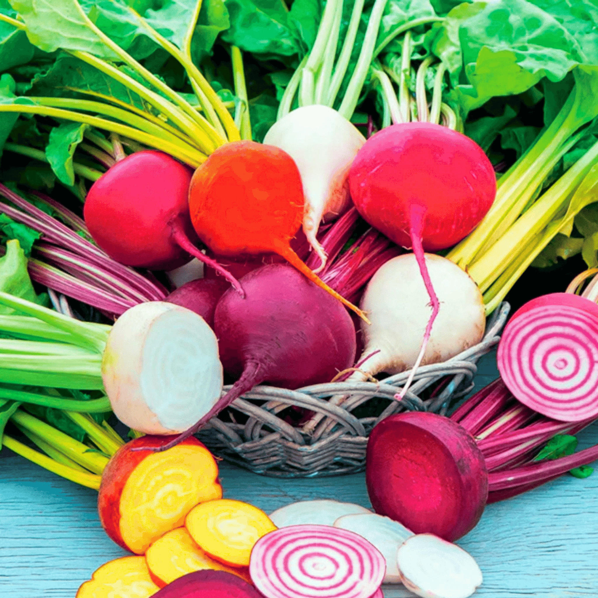 Southern Seeds Gourmet Blend Beet – 50 Seeds | Heirloom Boulevard