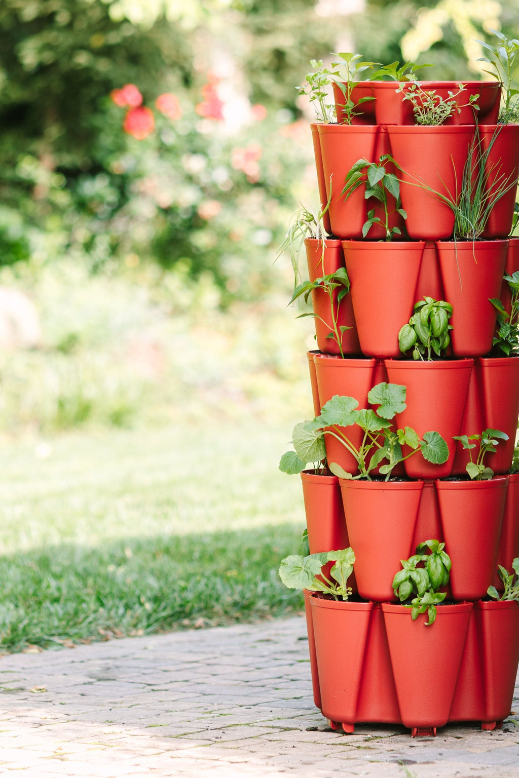 5 Tier GreenStalk Garden Original Vertical Planter - Basic Texture Tomato - Basic Texture | Heirloom Boulevard
