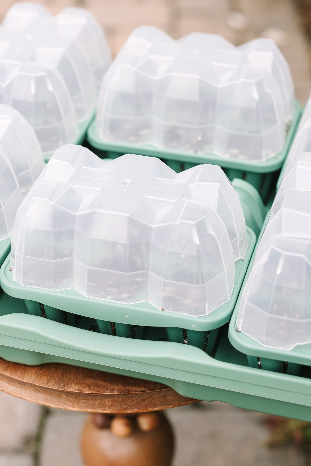 GreenStalk Garden Seed Starter Kit with Domes Sage Green | Heirloom Boulevard