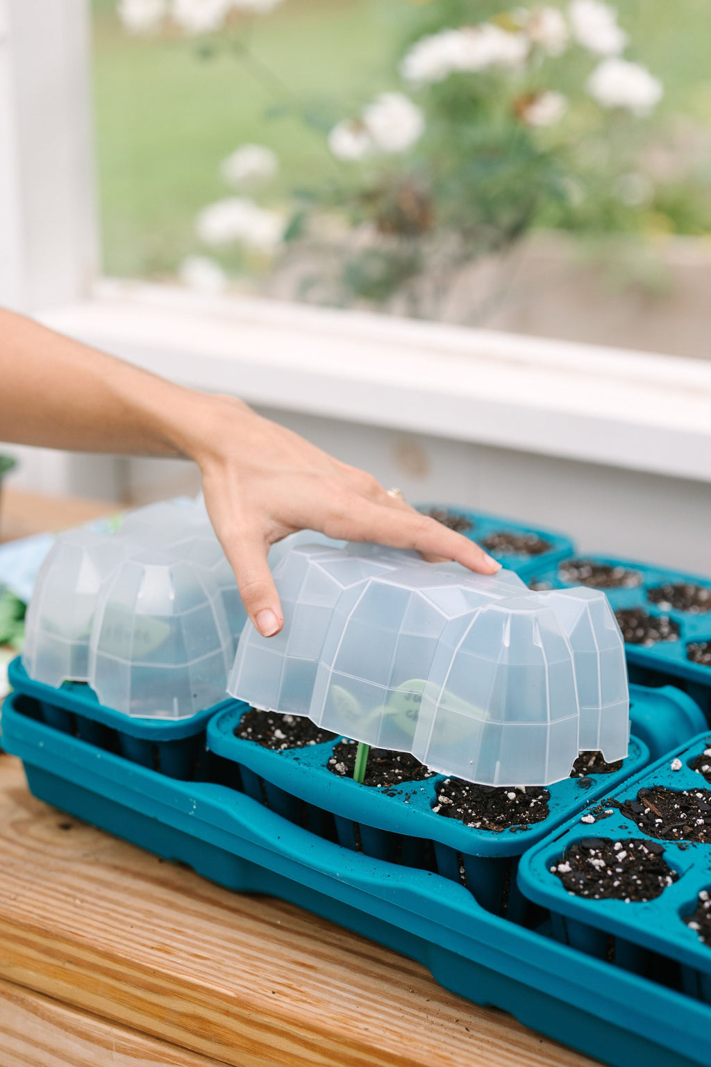 GreenStalk Garden Seed Starter Kit with Domes Dragonfly | Heirloom Boulevard
