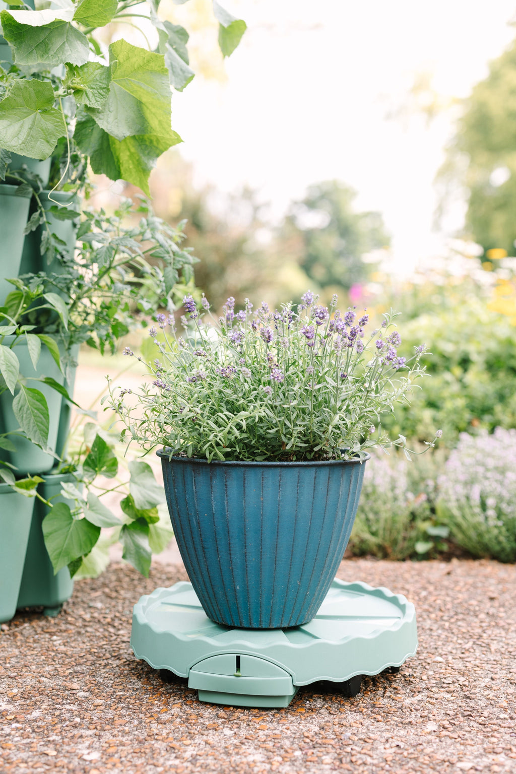 GreenStalk Garden Ultimate Mover Sage | Heirloom Boulevard