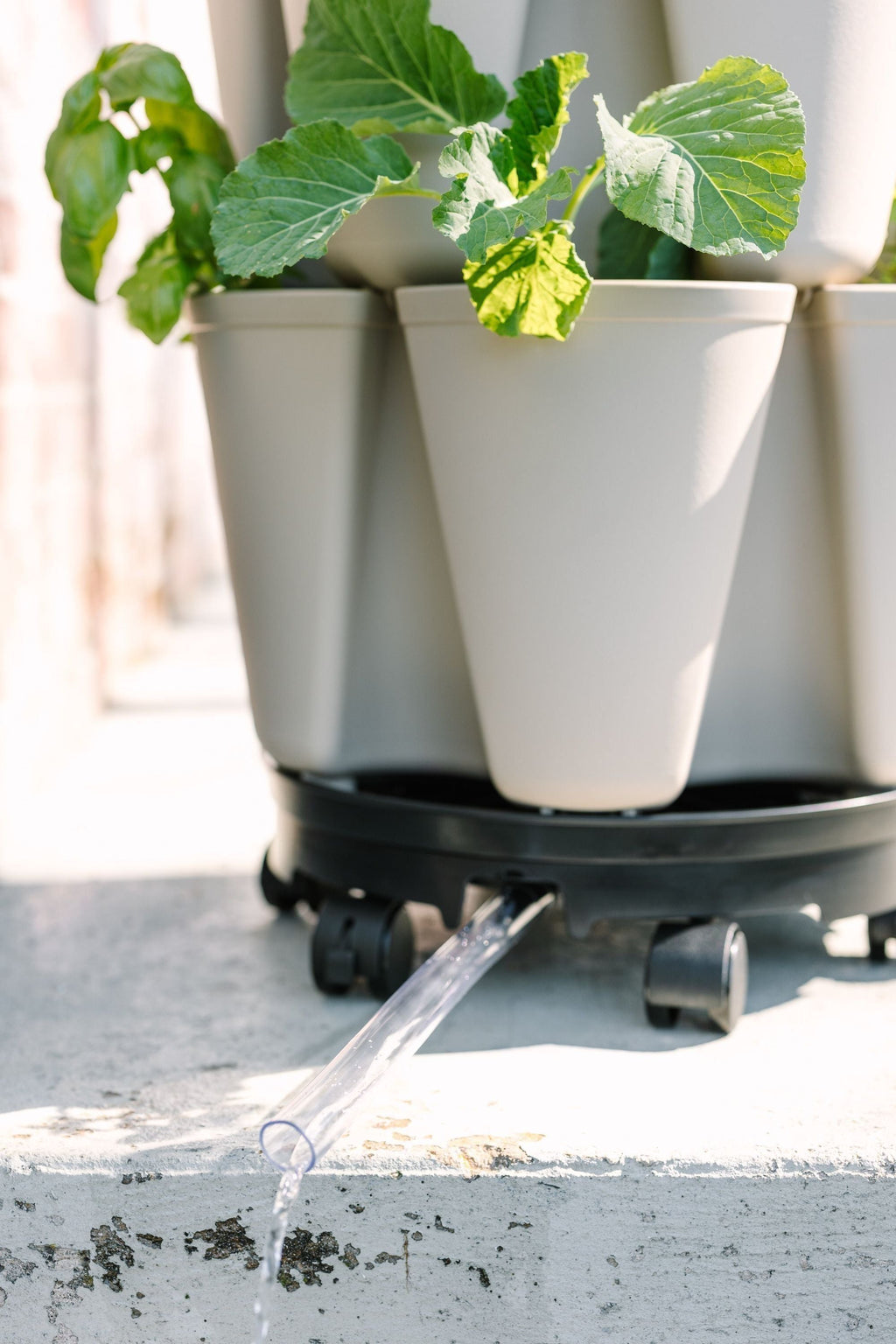 GreenStalk Garden Ultimate Spinner With Wheel Kit | Heirloom Boulevard