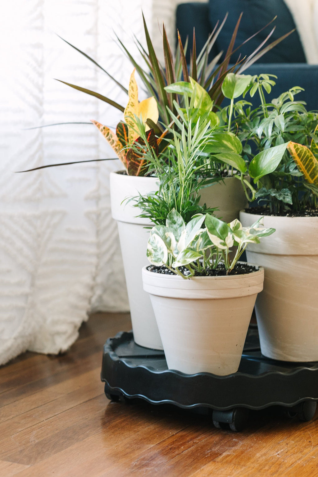 GreenStalk Garden Ultimate Mover | Heirloom Boulevard