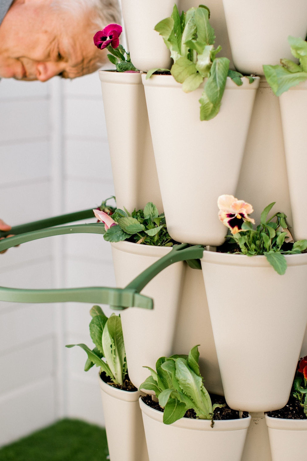 GreenStalk Garden Plant Support (Set of 3) | Heirloom Boulevard