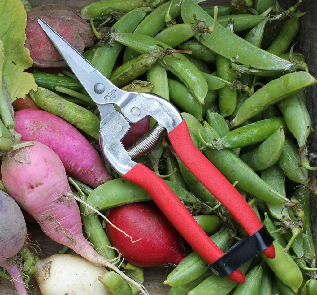 Womanswork Compact Pruning Shears, Garden of Paradise | Heirloom Boulevard