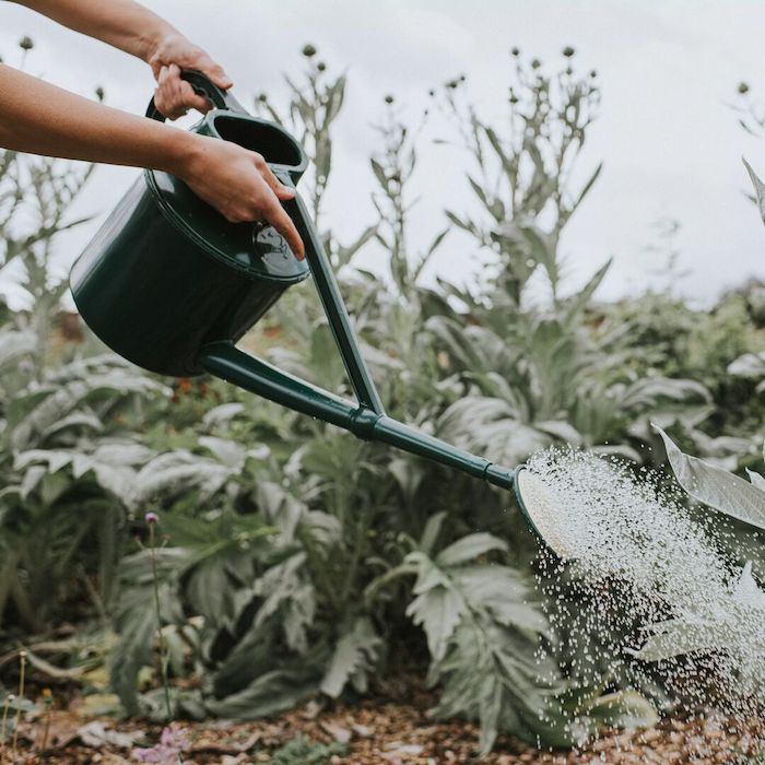 Haws Cradley Cascader - Watering Can Dark Green | Heirloom Boulevard