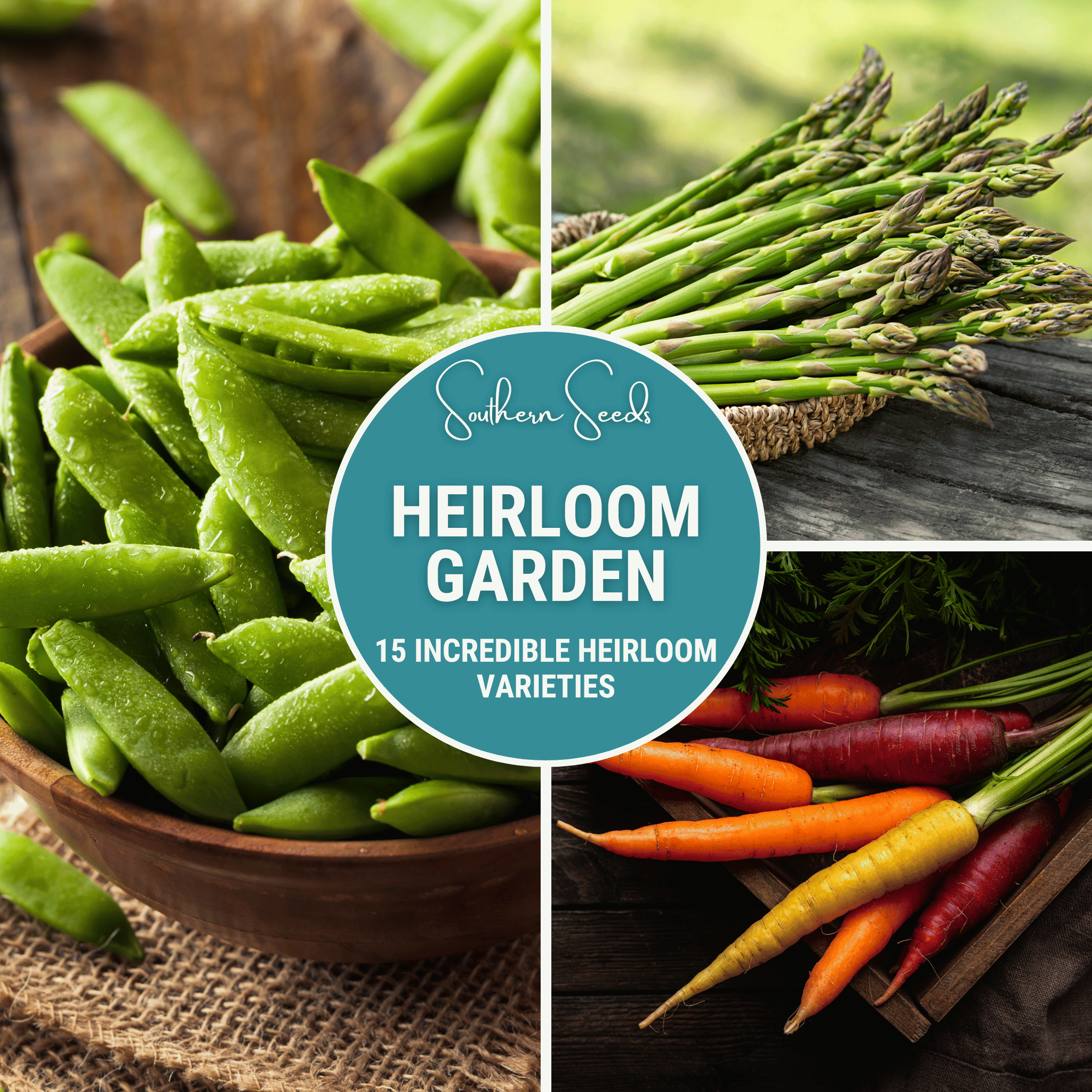 Southern Seeds Heirloom Vegetable Seed Collection – 15 Varieties | Heirloom Boulevard