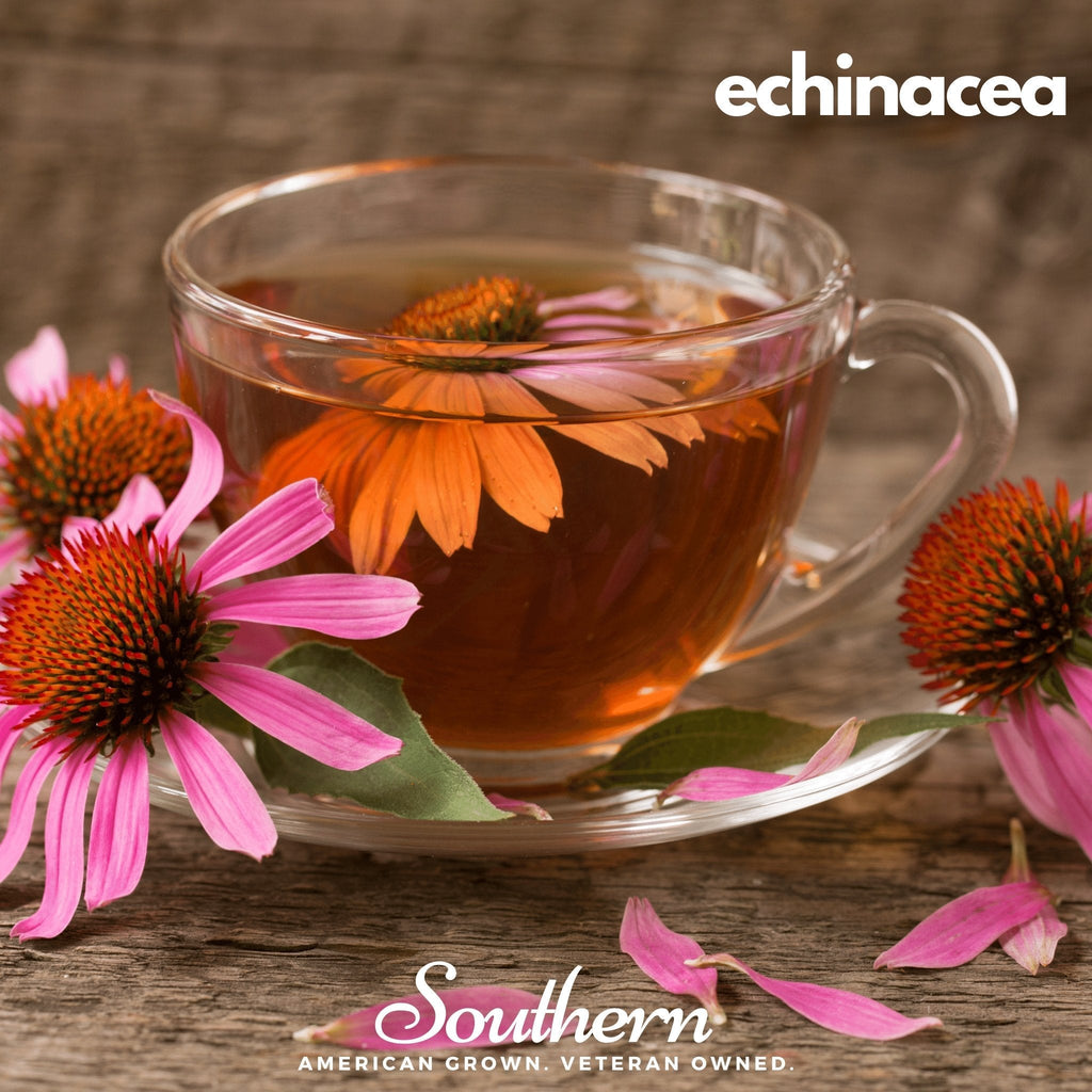 Southern Seeds Herbal Tea Seed Collection – 6 Varieties | Heirloom Boulevard