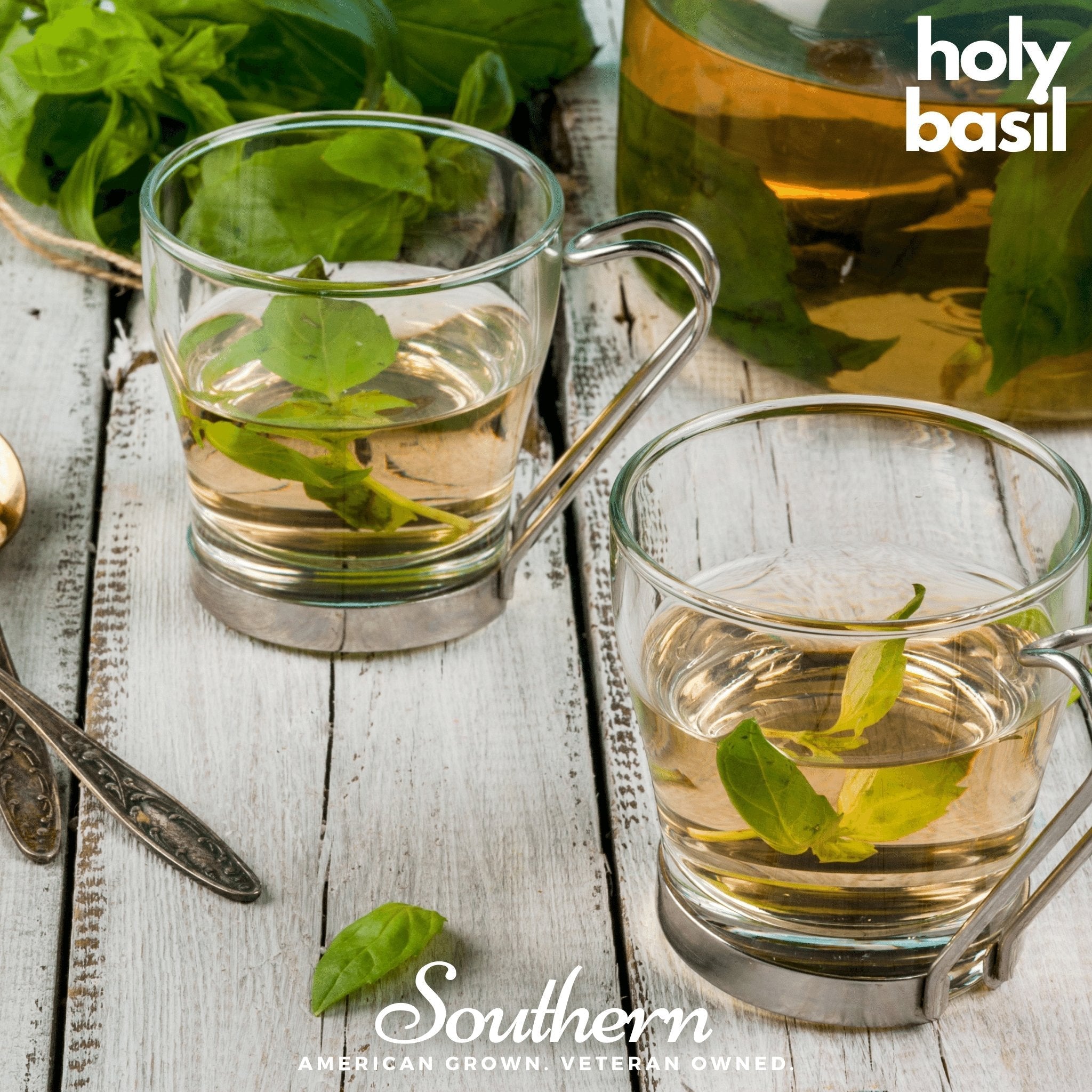 Southern Seeds Herbal Tea Seed Collection – 6 Varieties | Heirloom Boulevard