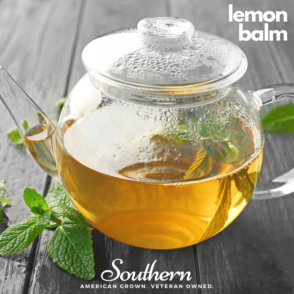 Southern Seeds Herbal Tea Seed Collection – 6 Varieties | Heirloom Boulevard