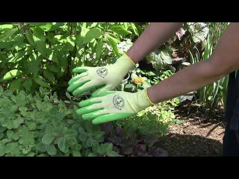 Womanswork The Weeder Glove | Heirloom Boulevard