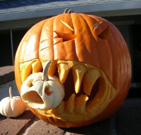 Seattle Seed Company Pumpkin - Jack 'O Lantern | Heirloom Boulevard