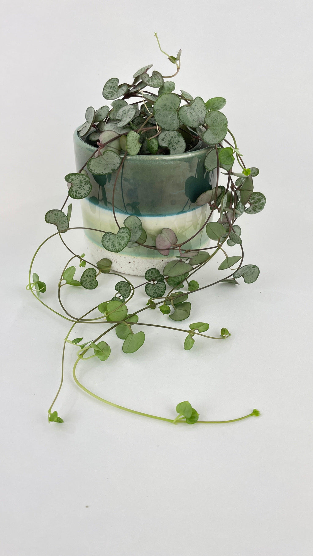 Silver Glory String of Hearts | Heirloom Boulevard