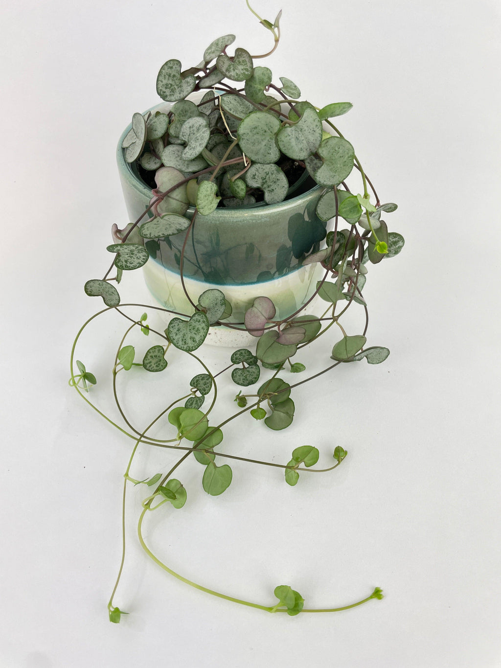 Silver Glory String of Hearts | Heirloom Boulevard