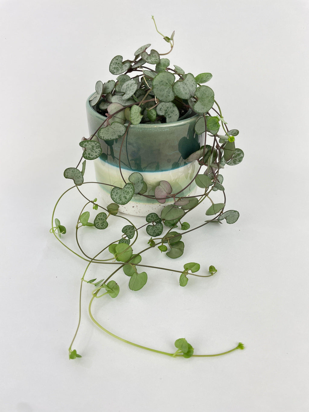 Silver Glory String of Hearts | Heirloom Boulevard
