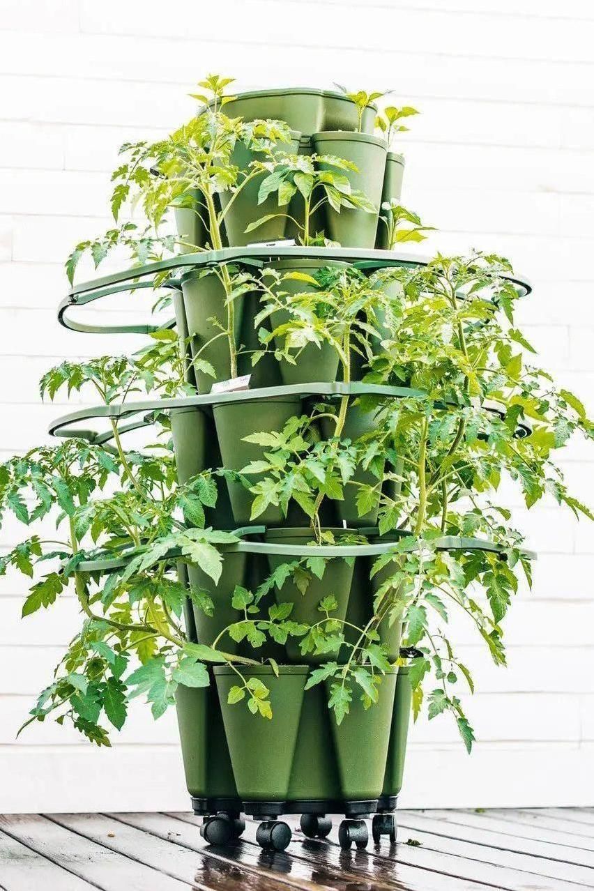 GreenStalk Garden Plant Support (Set of 3) | Heirloom Boulevard