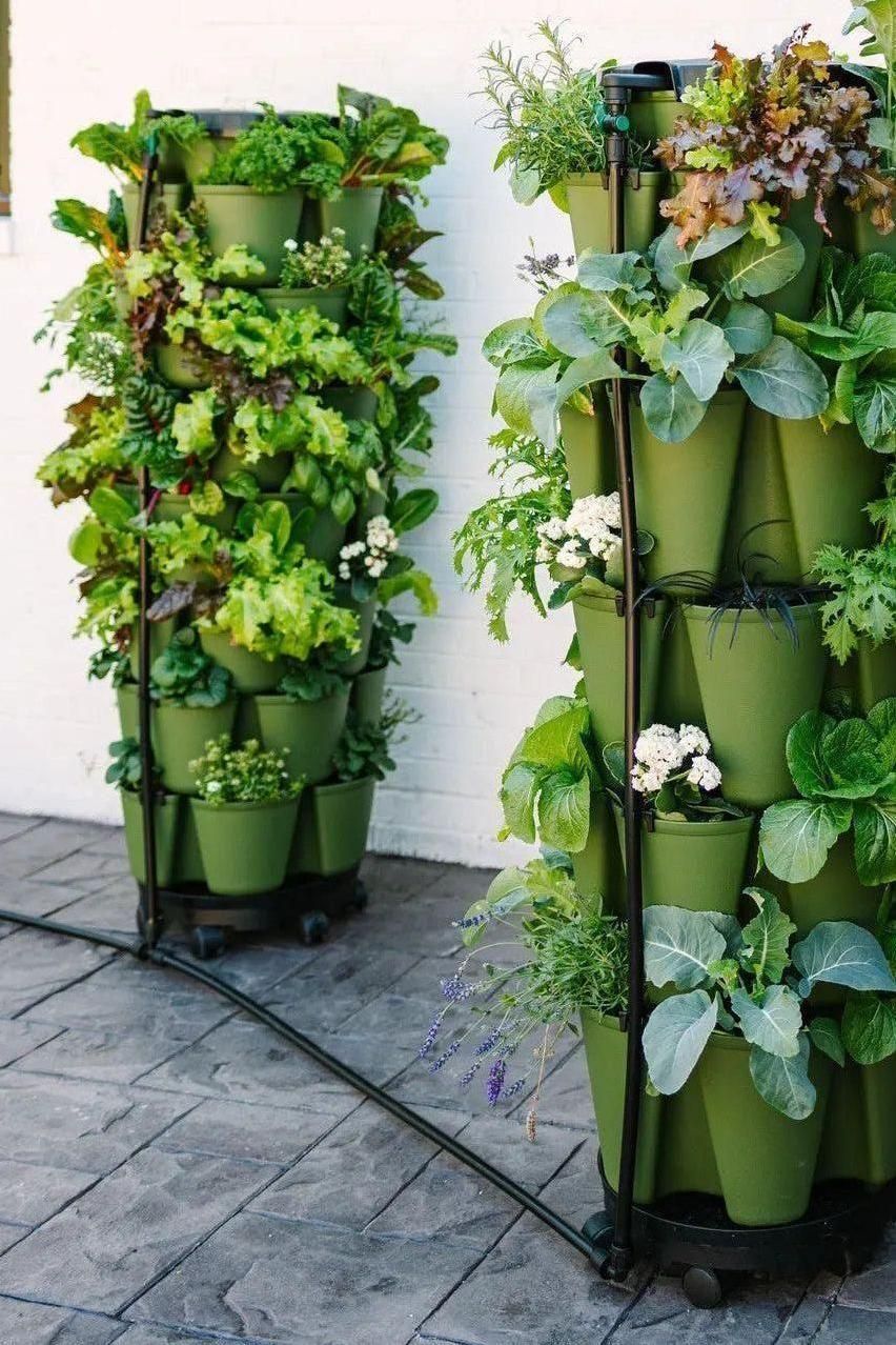 GreenStalk Garden Spring - Watering System | Heirloom Boulevard