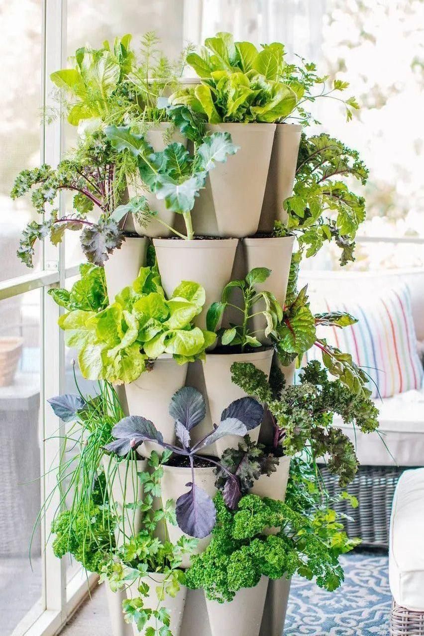 5 Tier GreenStalk Garden Original Vertical Planter - Basic Texture | Heirloom Boulevard