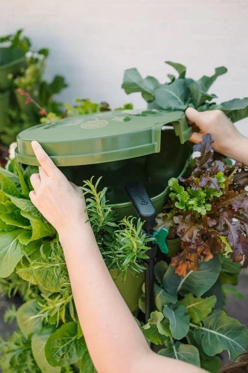 GreenStalk Garden Spring - Watering System | Heirloom Boulevard