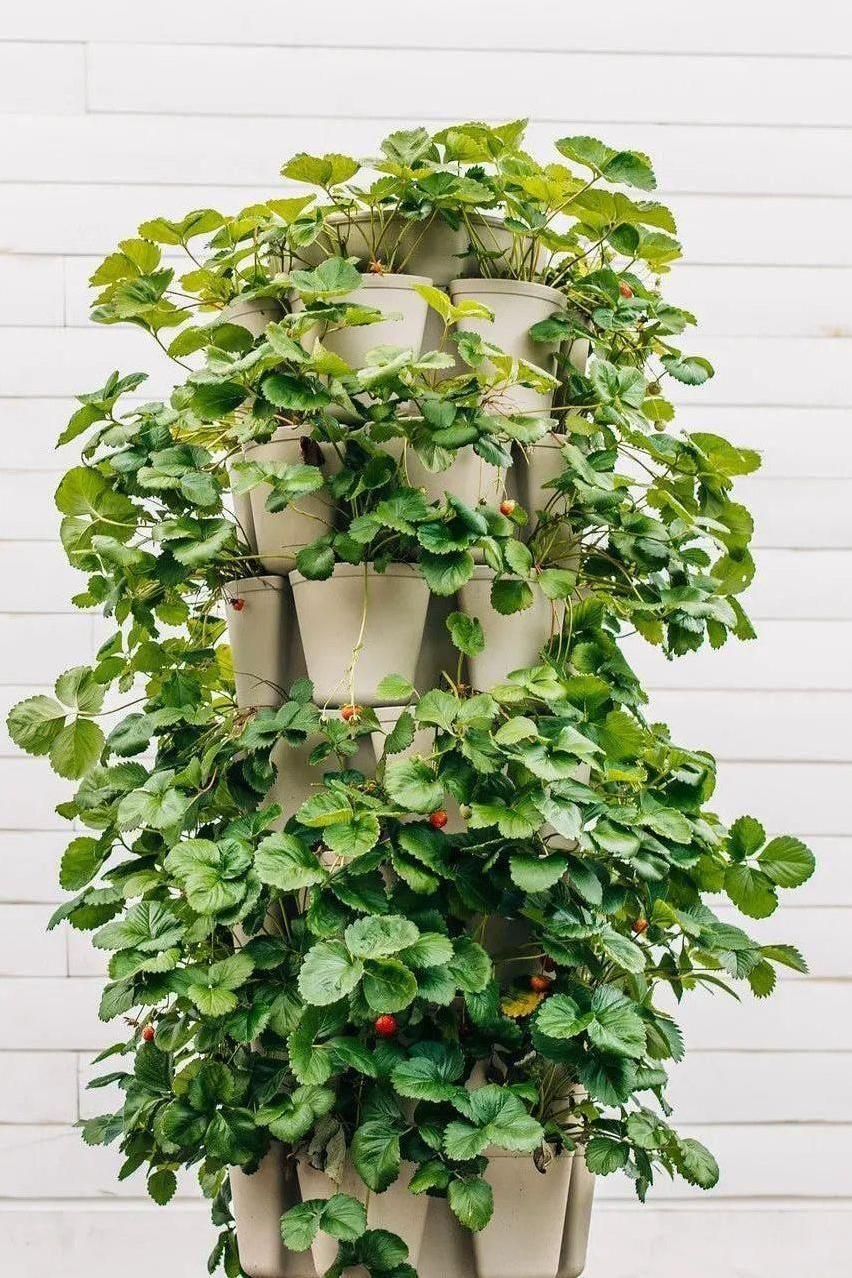 7 Tier GreenStalk Garden Leaf Vertical Planter - Basic Texture | Heirloom Boulevard