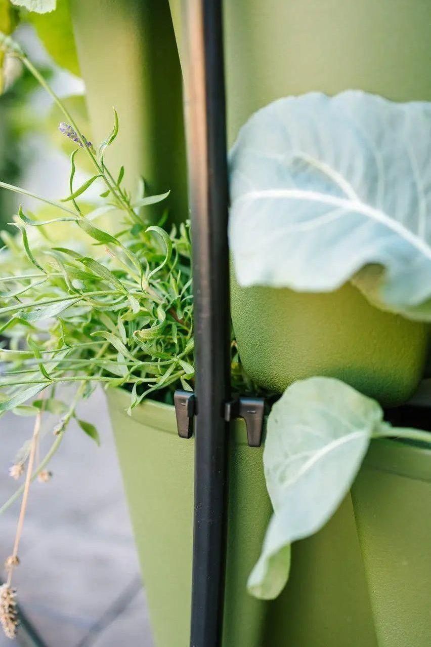 GreenStalk Garden Spring - Watering System | Heirloom Boulevard